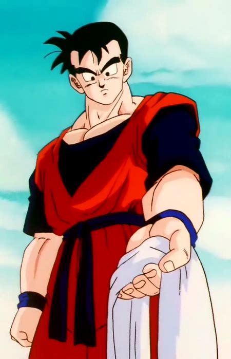 Dragon ball z is all about visual flair, and, in many ways, character are defined by what they wear, and gohan's wardrobe is a mixed bag. Gohan del Futuro