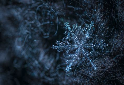 Macro Photography Of Snowflake · Free Stock Photo
