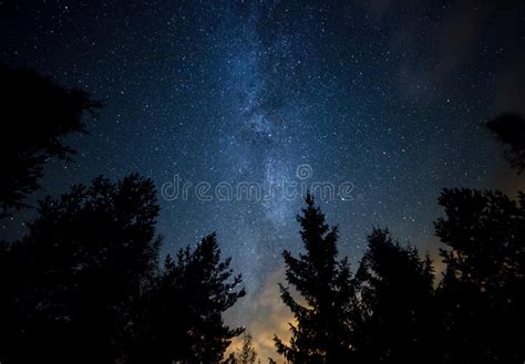 Il Cielo Notturno Con La Via Lattea Sopra La Foresta E Un Bird Watching