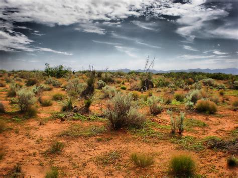 Desert Of New Mexico Photograph By Thomas Macpherson Jr