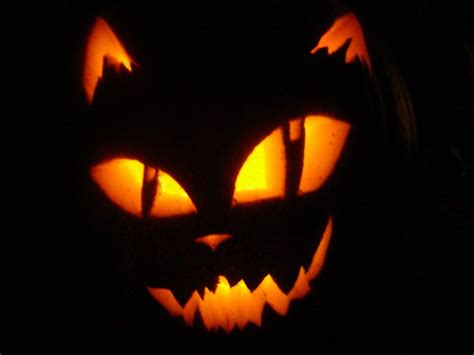 Scary Cat Pumpkin Carving Patterns Web Lanse