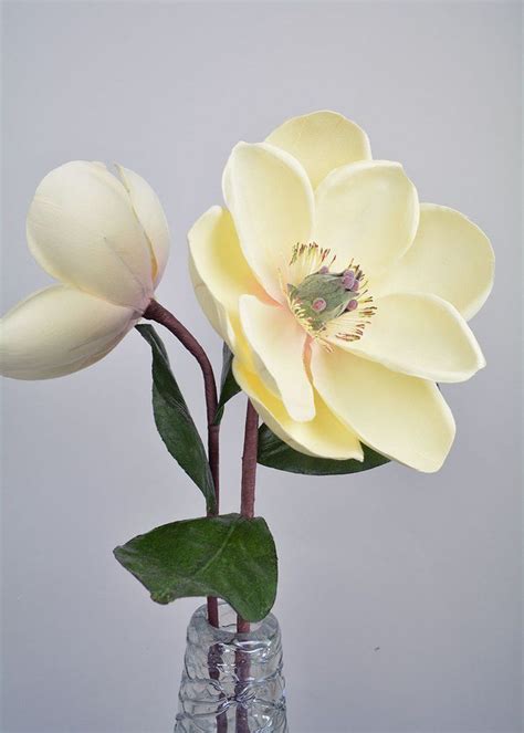 We did not find results for: Silk Magnolia Stem in Cream - 24" Tall | Artificial ...