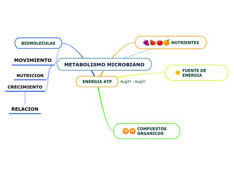 Metabolismo Microbiano Mind Map