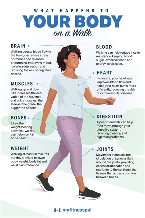 What Happens To Your Body When You Go For A Walk The Cardiac Prehab Personal Trainer