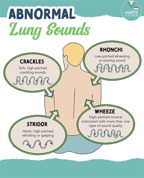 Abnormal Lung Sounds Abnormallungsounds Lungsounds Grepmed