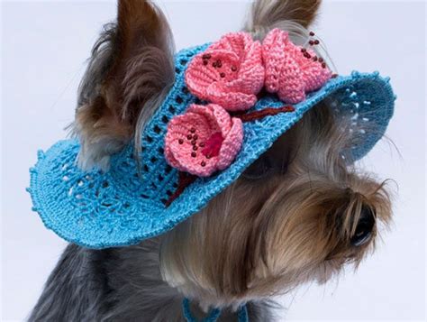 31 Cool Dog Hats For Dogs Of All Shapes And Sizes Here We Reveal The