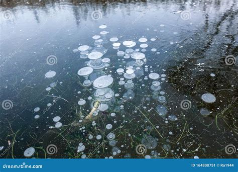 Frozen Lake Air Bubbles Frozen In The Ice Of The Lake Beautiful Winter