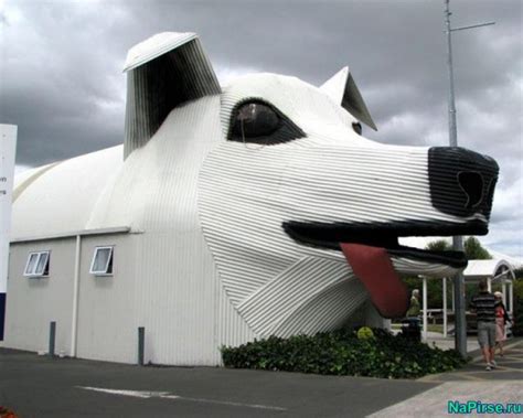 15 Interesting And Unusual Houses To Live In Top Dreamer