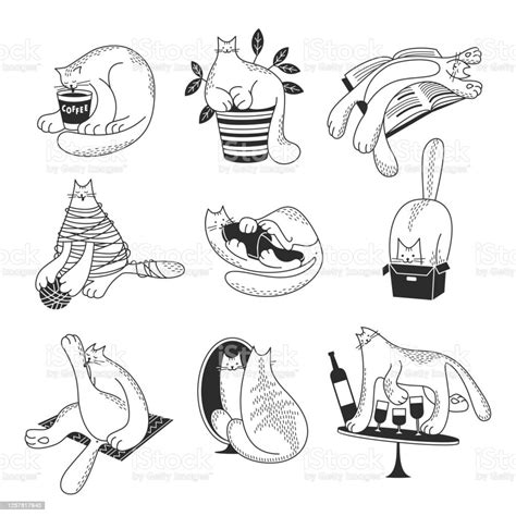 Hand Drawn Set Cats Stock Illustration Download Image Now Istock