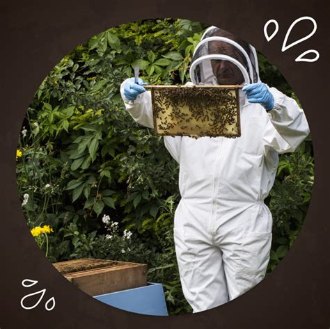 Bee Suits Bee Protection Suit