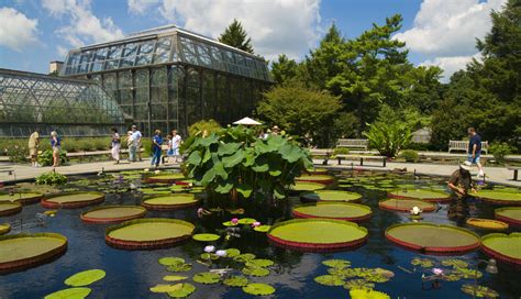 14 Gorgeous Philly Area Gardens And Arboretums Ticket
