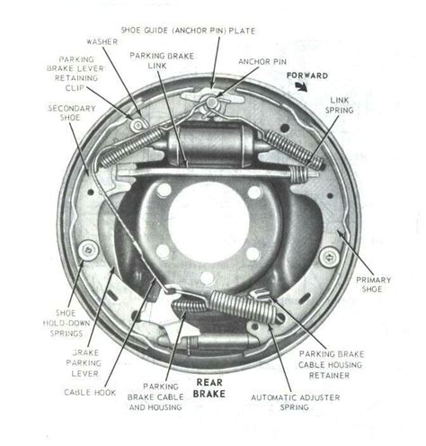 Rear Brake Drum Diagram