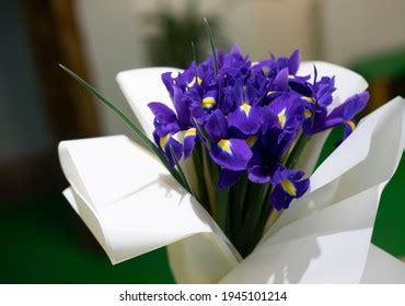 Rosa, blau und gelb bouquet. Blumenstrauß Weißer Hintergrund / Fotos Blumenstrausse ...