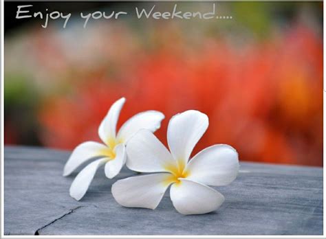 Pin by Karen on Happy Weekend | Enjoy your weekend, Senses spa, Happy ...