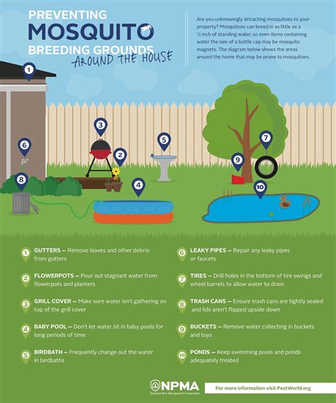 How To Get Rid Of Mosquitoes Home And Garden Lawn Care