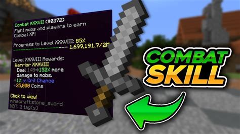 Increasing Combat Level In Hypixel Skyblock Hypixpel Skyblock Youtube