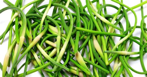 The Lowdown On This Curly Green Vegetable Garlic Farm Hardneck Garlic