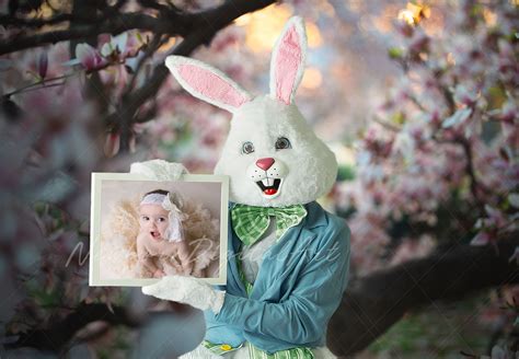 Easter Bunny With Frame Digital Backdrop Easter Backdrop Etsy Easter Backdrops Digital