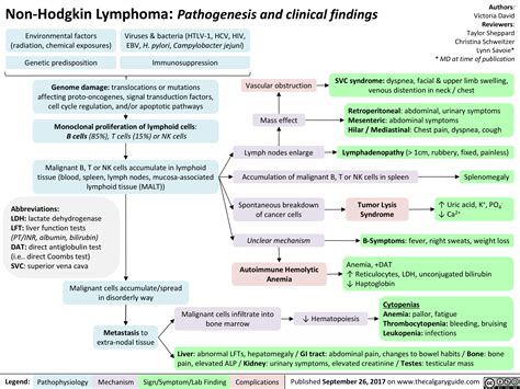 Non Hodgkin Lymphoma Pathogenesis And Clinical Findings Calgary Guide