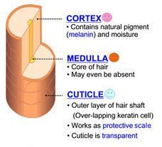 A cutting technique that involves layering the hair at an angle to build, remove or distribute weight to shape the haircut. Pin by Asfak on my hairdressing training | Beauty school ...