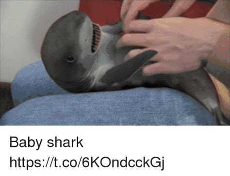 Search Funny Shark Memes Memes On Meme