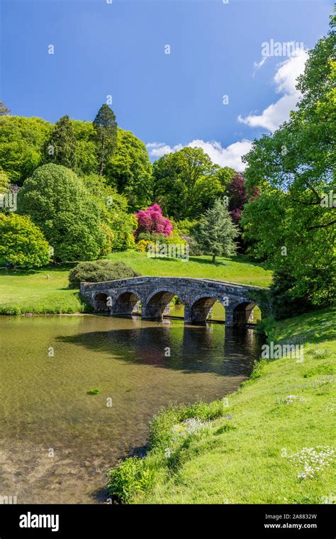 The Palladian Bridge And Colourful Rhododendron Flowers In Spring At