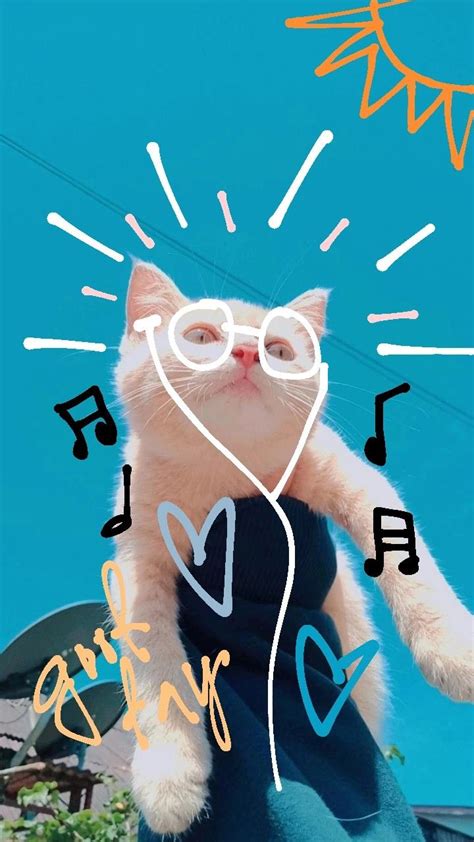 Aesthetic Cat Poster Character Wallpaper