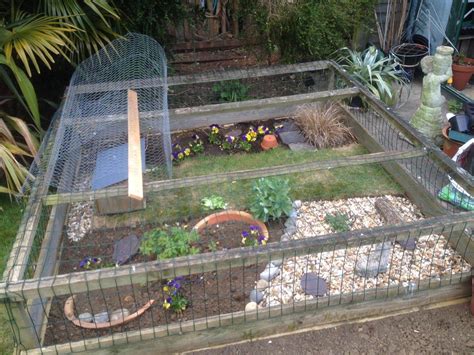 How To Set Up A Tortoise Enclosure A Step By Step Guide