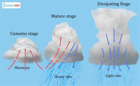 Why Do Thunderstorms Occur Later In The Day Science Abc