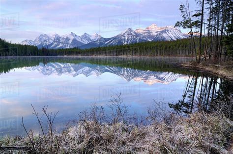 Herbert Lake And Bow Range Banff National Park Alberta Canada