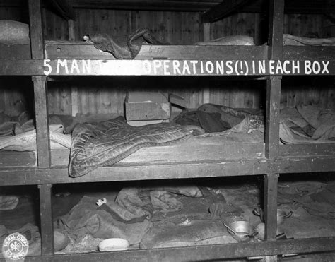 Buchenwalds Liberation As Seen By Louis Nemeth The New York Times