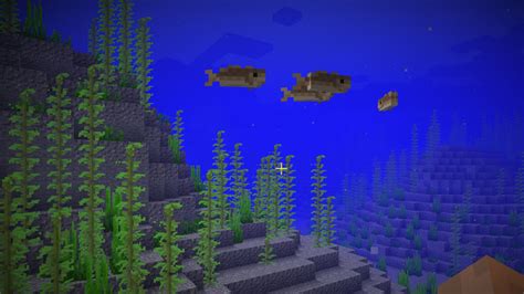 Where Do I Find Kelp In Minecraft Rankiing Wiki Facts Films