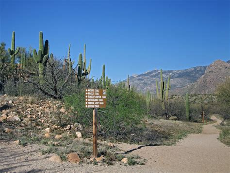 Trail Junction Catalina State Park Arizona