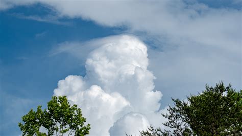 Cumulus Congestus Cloud Description Whatsthiscloud