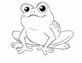 Coloring Tadpole Cycle Frog Bullfrog Getdrawings Leapfrog Scout Getcolorings Printable Colorings sketch template