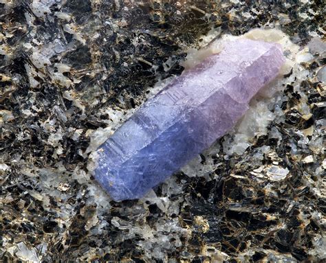 Bicolor Sapphire From Madagascar Mineral Specimen Minerals Fish