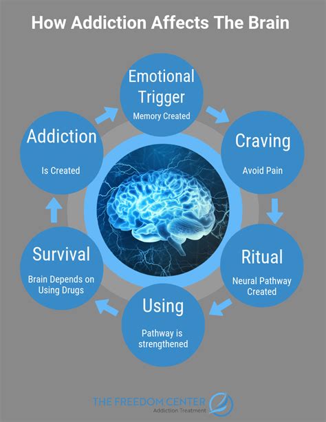 The Psychology Of Addiction The Freedom Center