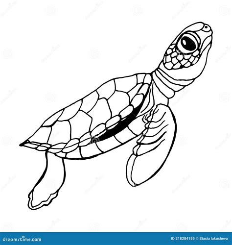 Sea Turtle Black Contour Doodle Vector EPS Stock Vector Illustration