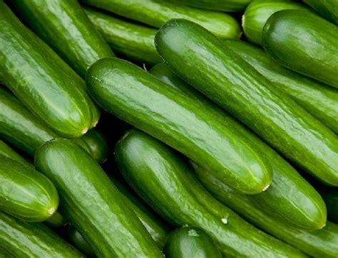 Fresh Cucumbers Inr 25inr 45 Kilogram By Anupriya Fruit And Vegetable From Murshidabad West