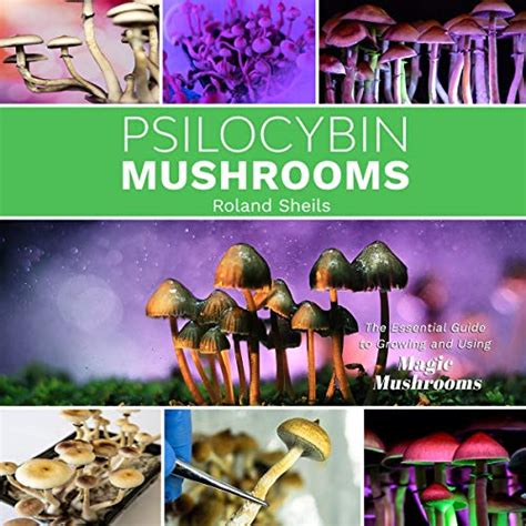 Psilocybin Mushrooms The Essential Guide To Growing And Using Magic