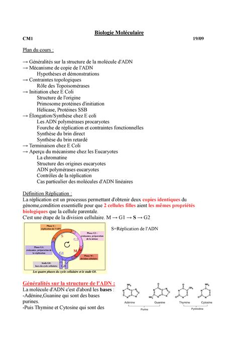 Cm12 Biologie Moléculaire Biologie Moléculaire Cm1 19 Plan Du Cours