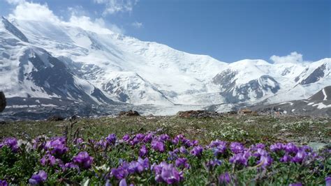 The pamir mountains are a mountain range between central asia, south asia, and east asia, at the junction of the himalayas with the tian shan, karakoram, kunlun, hindu kush, and hindu raj ranges. Pamir Mountains - Mountain Range in Tajikistan - Thousand ...