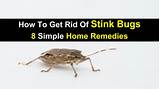 Images of Home Remedies Bugs