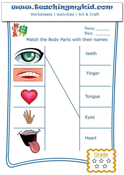 Our content is free and easy to download and use. Match The Body Parts With Their Names Archives - Teaching My Kid