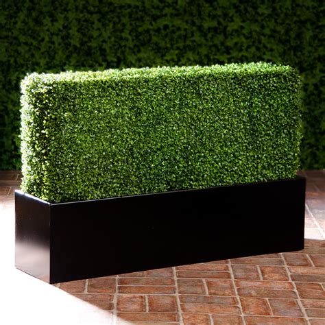 Artificial Boxwood Hedge In Modern Fiberglass Planter With Black