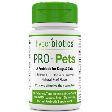 Choose The Best Probiotic For Dogs 2018 Be Careful Before Use