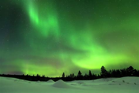 Aurora Borealis Over Snowy Landscape Photograph By Sara Winter Fine