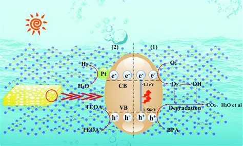 The Possible Photocatalytic Mechanism Of Bpa Degradation And H2