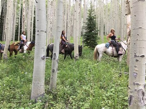 Horseback Riding Tours In Vail Colorado Vail Stables