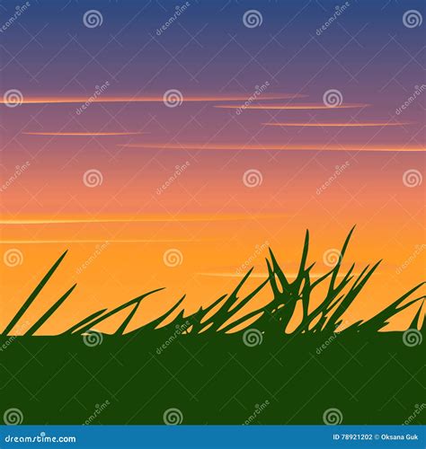 Silhouette Of Grass On A Background Sunset Stock Vector Illustration